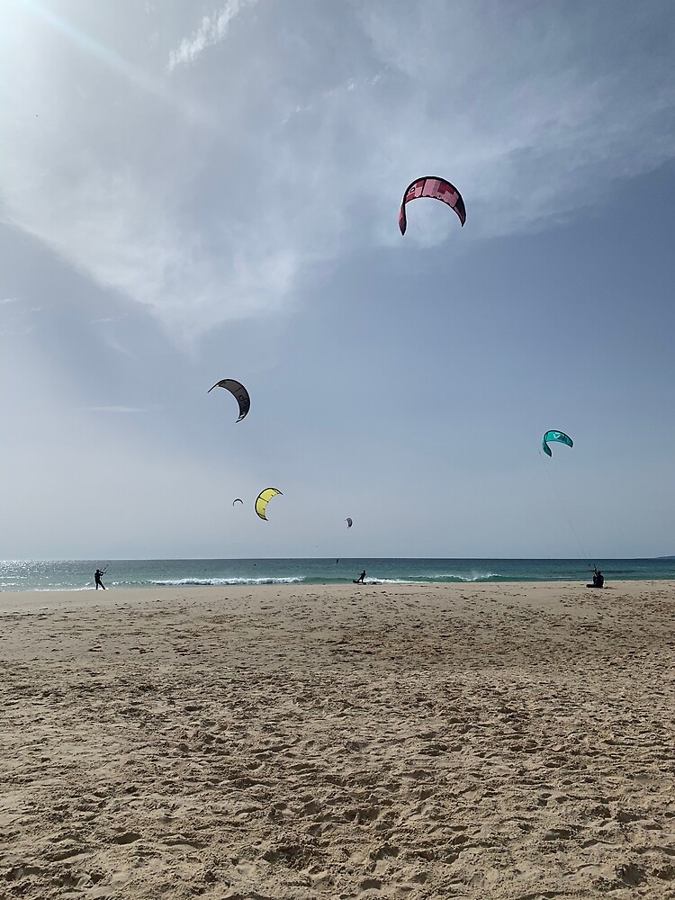 "Tarifa Kites" Poster for Sale by Opanda17 Redbubble