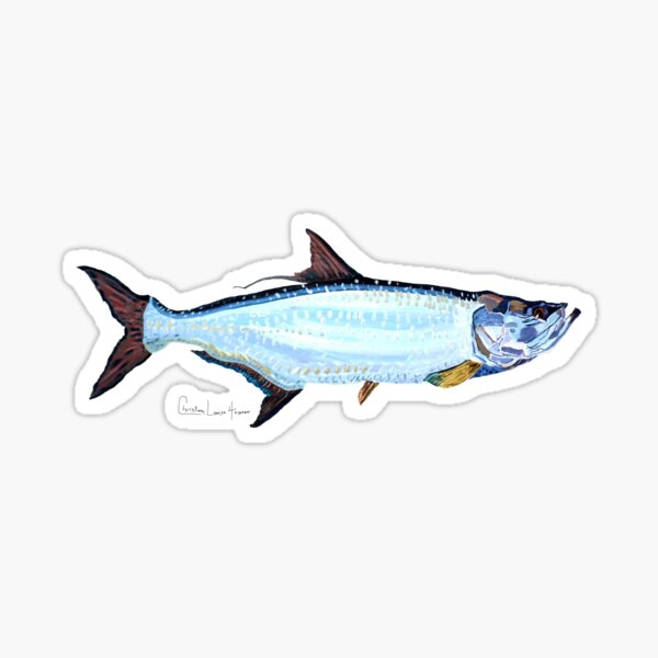 Tarpon Sticker