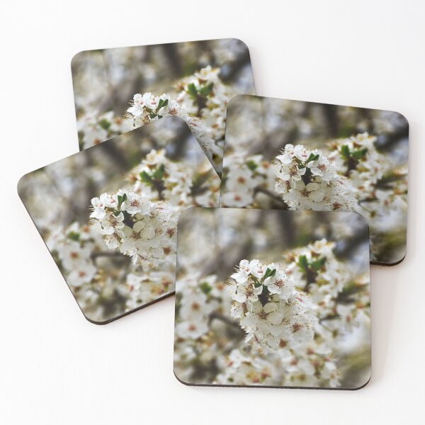 Item preview, Cherry Blossoms 3 | nature photography designed and sold by Mii-pics.