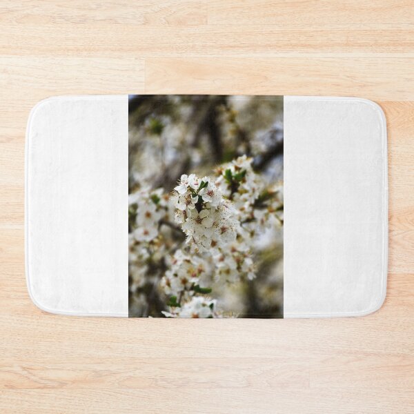 Item preview, Cherry Blossoms 3 | nature photography designed and sold by Mii-pics.