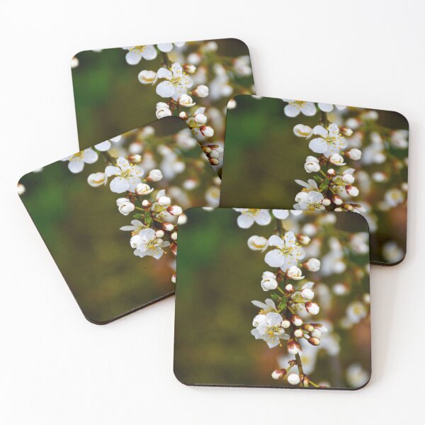 Item preview, Cherry Blossoms 6 | nature photography designed and sold by Mii-pics.