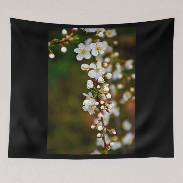 Item preview, Cherry Blossoms 6 | nature photography designed and sold by Mii-pics.