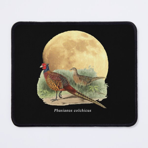 Item preview, OBV - Faisans - Phasianus colchicus designed and sold by vb66.