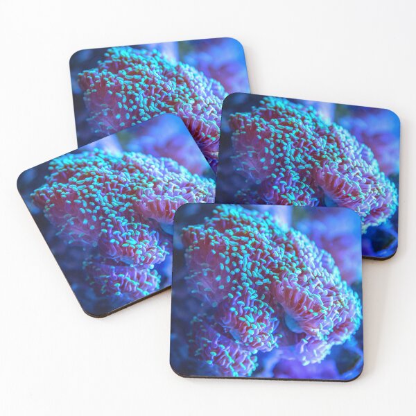 Item preview, Underwater Reef Life designed and sold by Lit_Creation ⭐️⭐️⭐️⭐️⭐️.