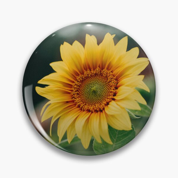 Item preview, Sunflower || designdukan || designed and sold by designdukan.