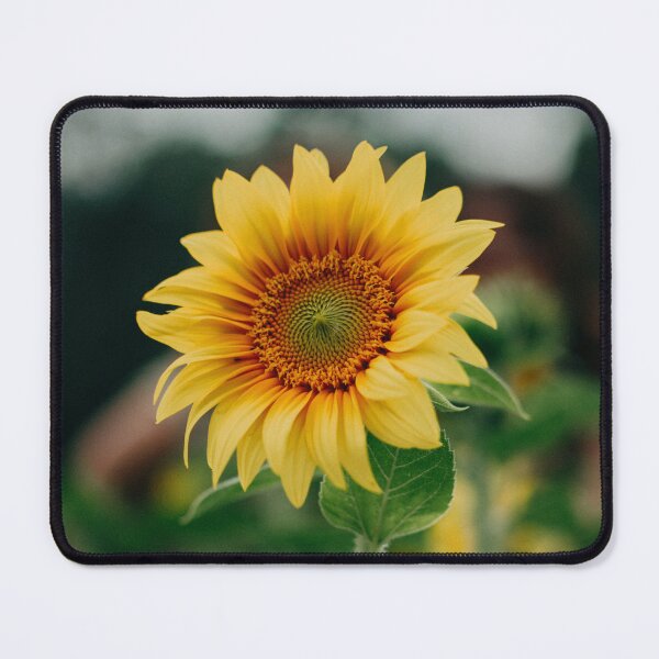 Item preview, Sunflower || designdukan || designed and sold by designdukan.