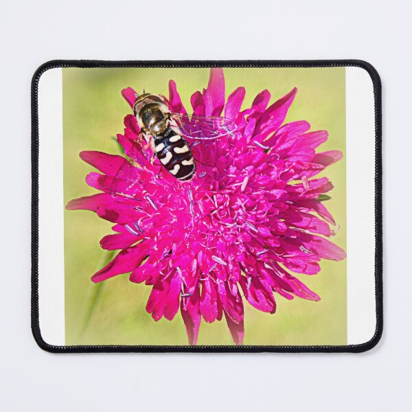 Item preview, Sírfido en scabiosa designed and sold by angel1.