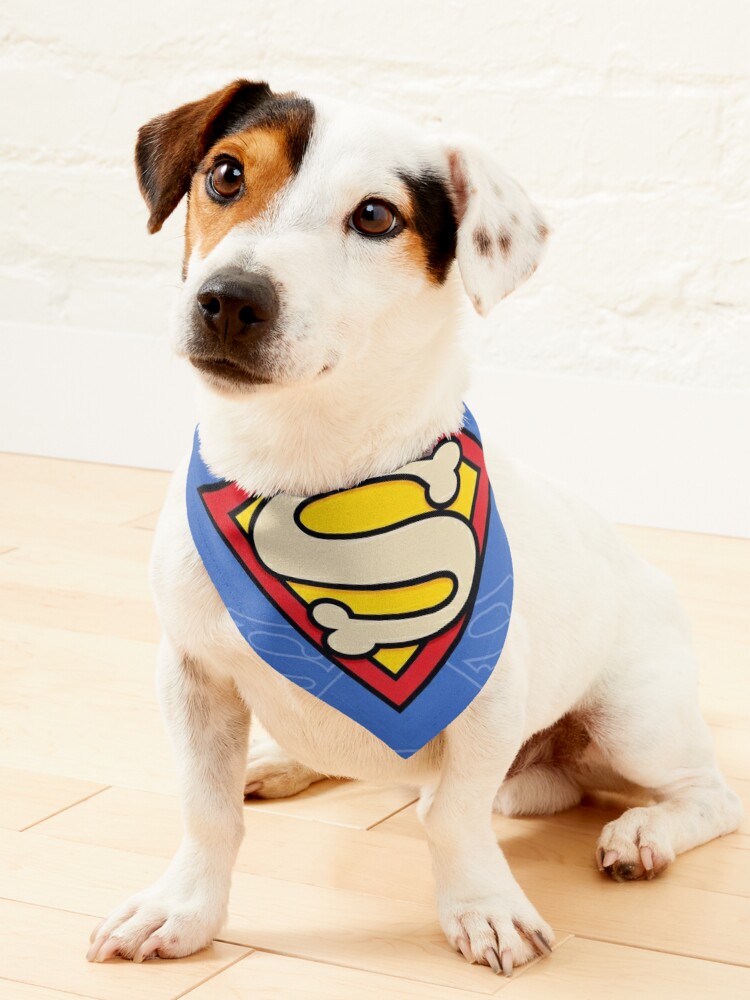 Superman dog sale bandana