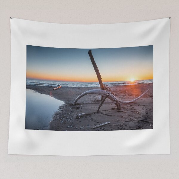 Item preview, Driftwood designed and sold by Brendan Buckley.