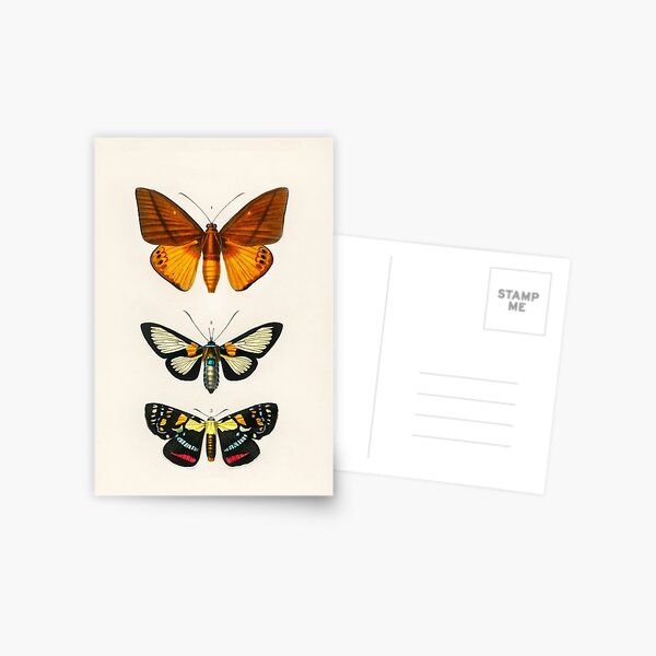Item preview, Vintage Butterfly Artwork designed and sold by Uncanny Designs.