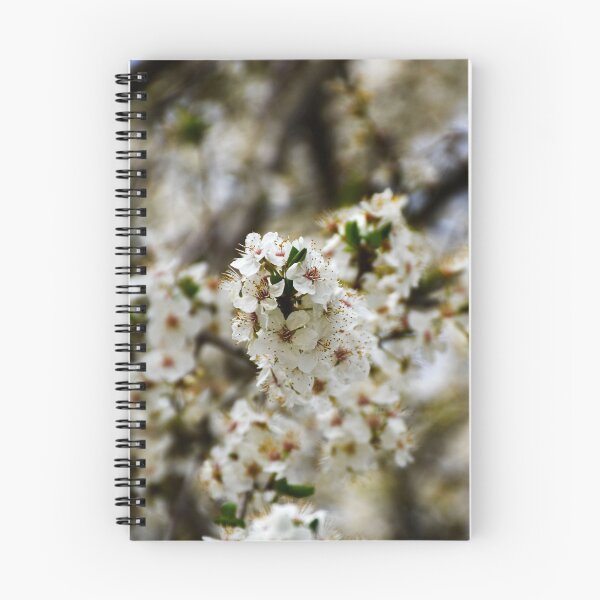 Item preview, Cherry Blossoms 3 | nature photography designed and sold by Mii-pics.