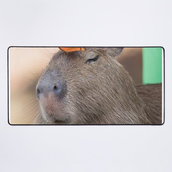 Item preview, Capybara with butterfly designed and sold by FunkisDesignes.