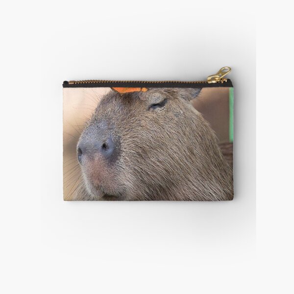 Aperçu de l'œuvre Capybara avec papillon créée et vendue par FunkisDesignes.