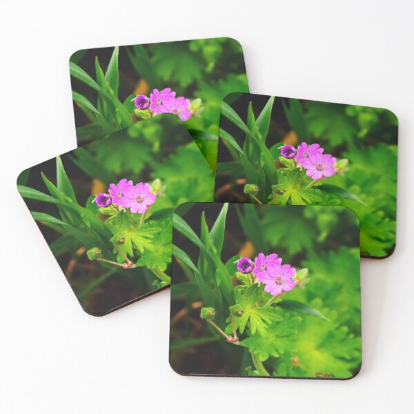 Item preview, Purple Flower | nature photography designed and sold by Mii-pics.