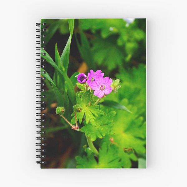 Item preview, Purple Flower | nature photography designed and sold by Mii-pics.