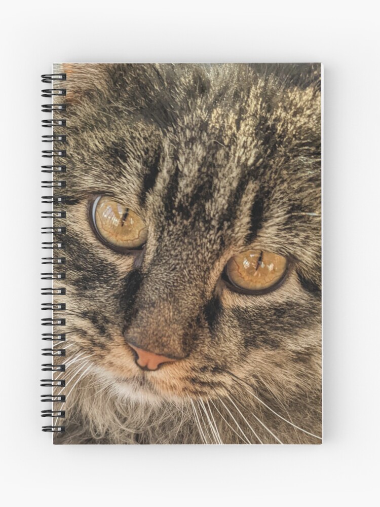 Golden Eyes Notebook