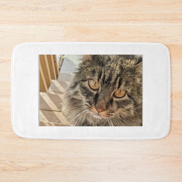 Item preview, Brown tabby cat golden eyes designed and sold by Rainy-Kitten.