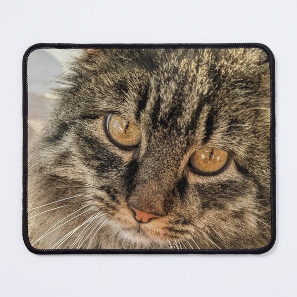 Item preview, Brown tabby cat golden eyes designed and sold by Rainy-Kitten.