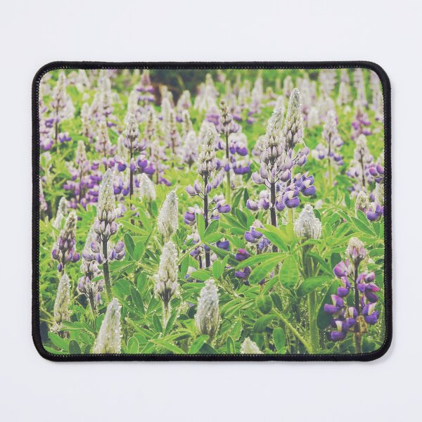Item preview, Lupins Field - Flowers and Nature of Iceland designed and sold by CarolinaReina.