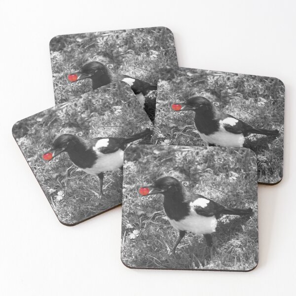 Item preview, magpie eating a cherry designed and sold by devil0035.