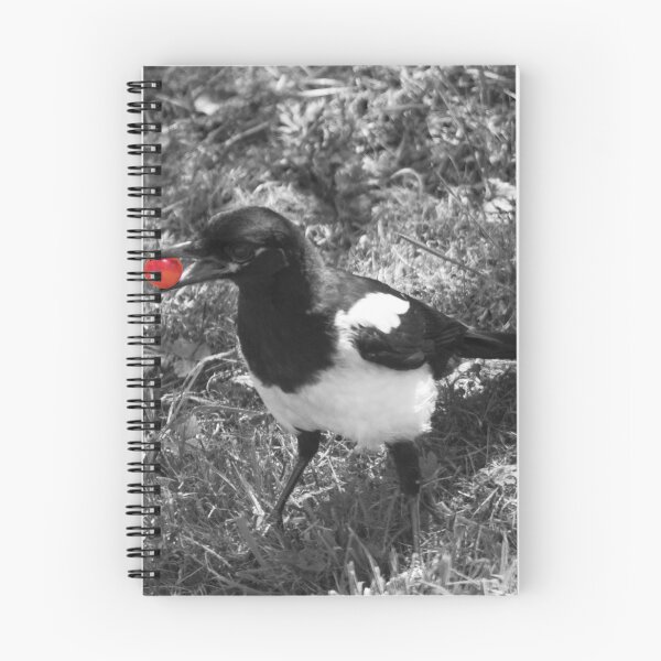 Item preview, magpie eating a cherry designed and sold by devil0035.