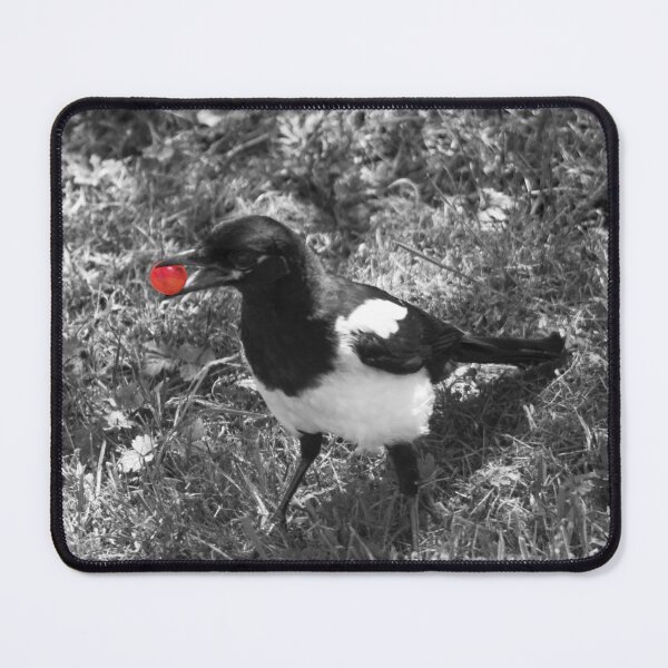 Item preview, magpie eating a cherry designed and sold by devil0035.