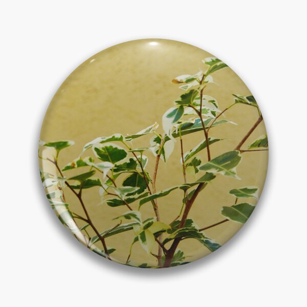 Item preview, Ficus Plant Variegated Leaves Against Beige Wall designed and sold by CarolinaReina.