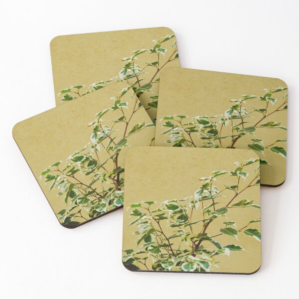 Item preview, Ficus Plant Variegated Leaves Against Beige Wall designed and sold by CarolinaReina.