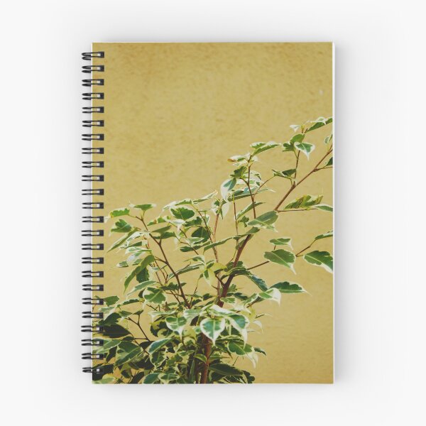 Item preview, Ficus Plant Variegated Leaves Against Beige Wall designed and sold by CarolinaReina.