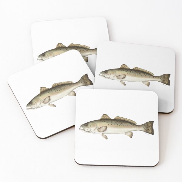 Item preview,  Speckled trout / Spotted Seatrout  designed and sold by eucamus.