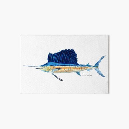 Sailfish Art Board Print