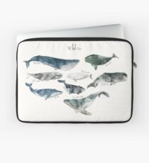 Funda para portátil Ballenas