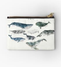 Whales Studio Pouch