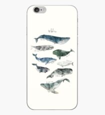 Whales iPhone Case