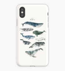 Whales iPhone Case