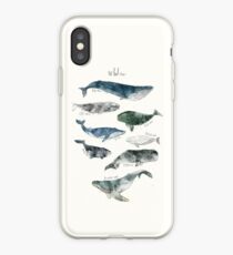 Whales iPhone Case