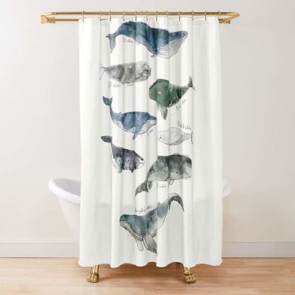 Whales Shower Curtain