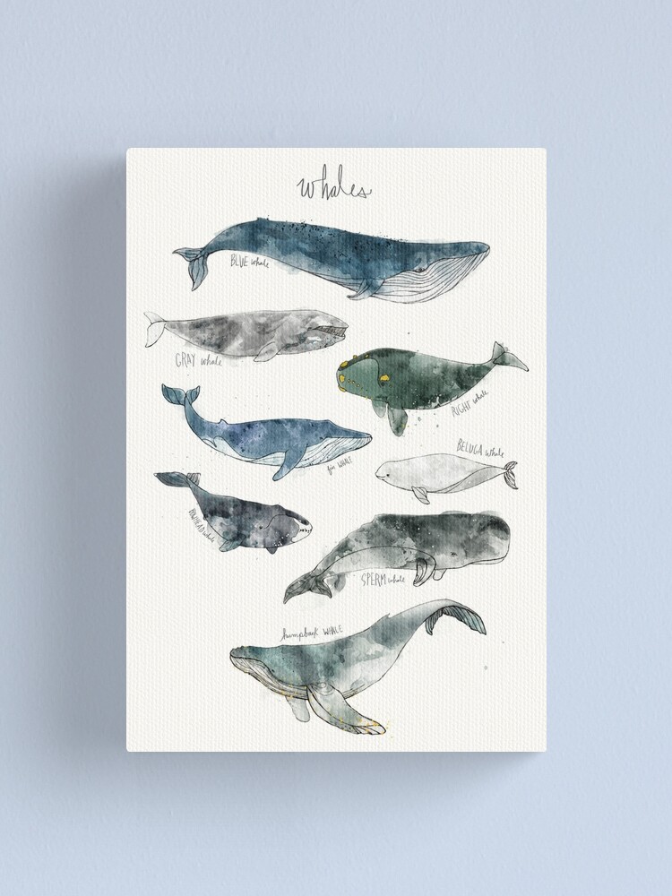 Alternate view of Whales Canvas Print