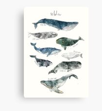 Whales Canvas Print