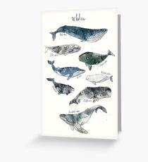 Whales Greeting Card