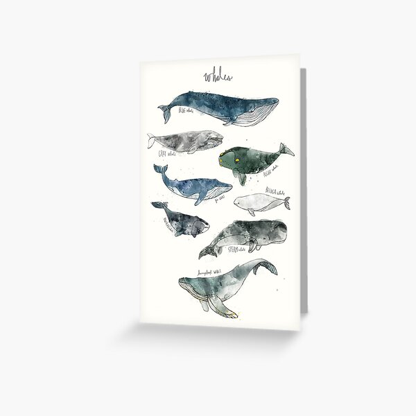 Whales Greeting Card
