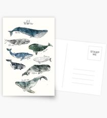 Postales Ballenas