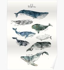 Whales Poster