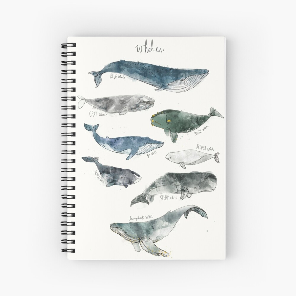 Whales Spiral Notebook