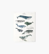 Whales Art Board Print