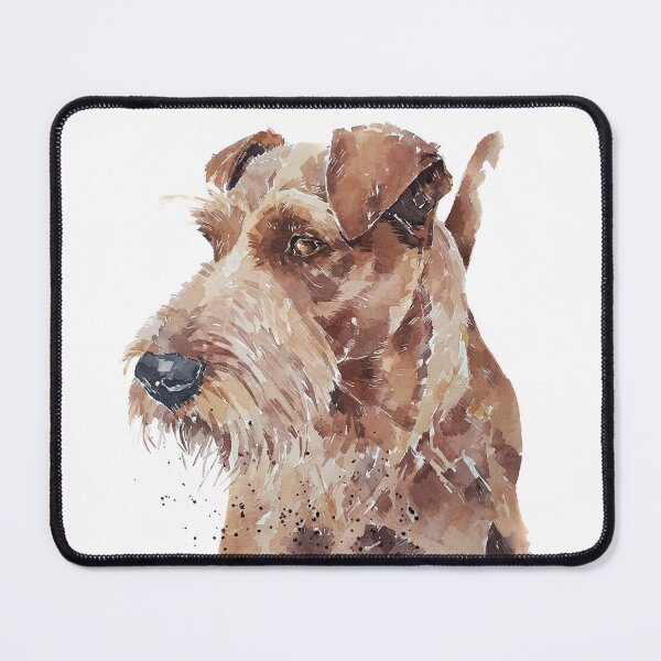 Item preview, Irish Terrier Pomp" Print Watercolour.Irish Terrier Art,Irish Terrier watercolor,Irish Terrier Wall hanging,Irish Terrier decor designed and sold by EdsWatercolours.