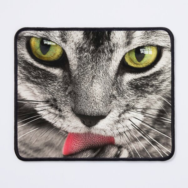 Item preview, Cat Face designed and sold by Rejcharms.