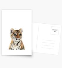 Kleiner Tiger Postkarten