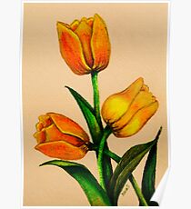 Tulips Poster