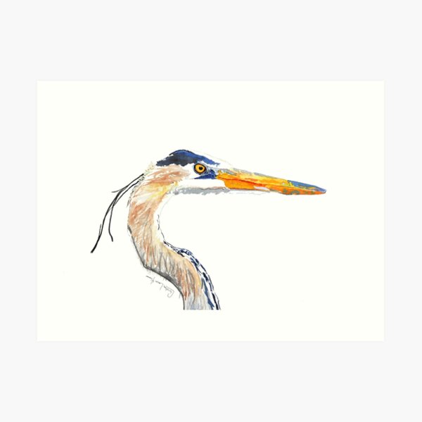 Heron No.7 Art Print